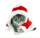 Фотография Георгиевой Татьяны