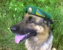 Віктор Громоцький фотография #17 (источник - https://vk.com/id116830709)