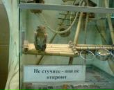 Сергій Броновський фотография #39 (источник - https://vk.com/id40719461)