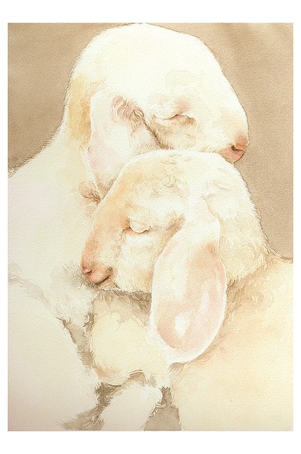 Януша Стахеева фотография #21