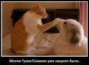 Фотография Лучниковой Евгении