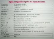 Фотография Шабельникова Анастасия