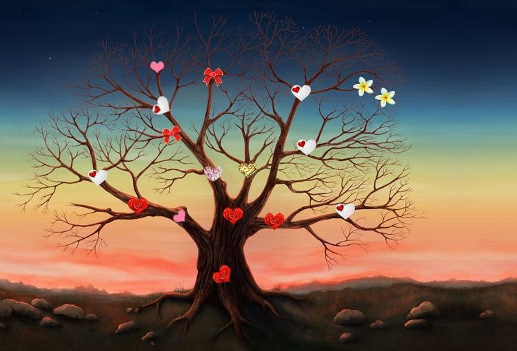 Элис Каленн фотография #18