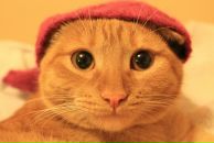 Фотография Половниковой Полины