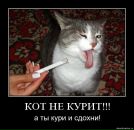 Назар Тимофій фотография #5 (источник - https://vk.com/id153075030)