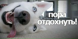 Віталій Якименко фотография #25 (источник - https://vk.com/id161140027)