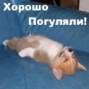 Міша Гордон фотография #1