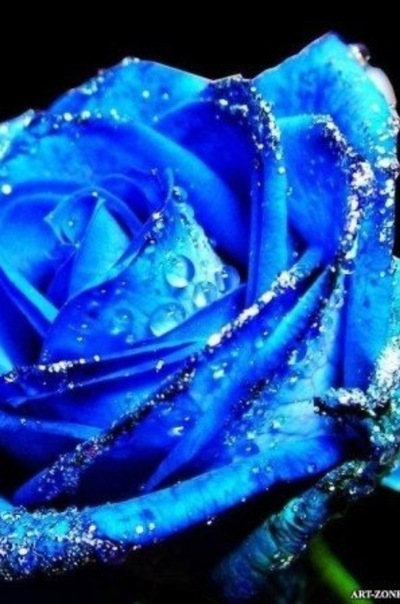 №9, Mete Abduraman №9, Mete Abduraman