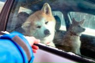 Фотография Бякина Антона