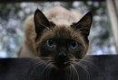 Антон Воробьёв фотография #45 (источник - https://vk.com/id137580037)