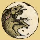 Фотография Давыдчик Анастасия