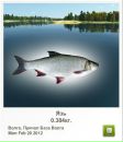 Віктор Камлук фотография #8 (источник - https://vk.com/id162080953)