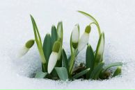 Віка Михащук фотография #11 (источник - https://vk.com/id9404322)