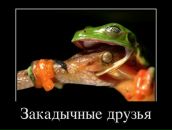 Фотография Шаина Дениса