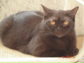 Фотография Ники Вики