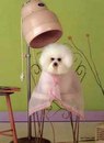 Фотография Пухальской Инги