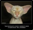 Фотография Тарасенко Григория