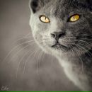 Юлия Гладких фотография #26 (источник - https://vk.com/id3231401)