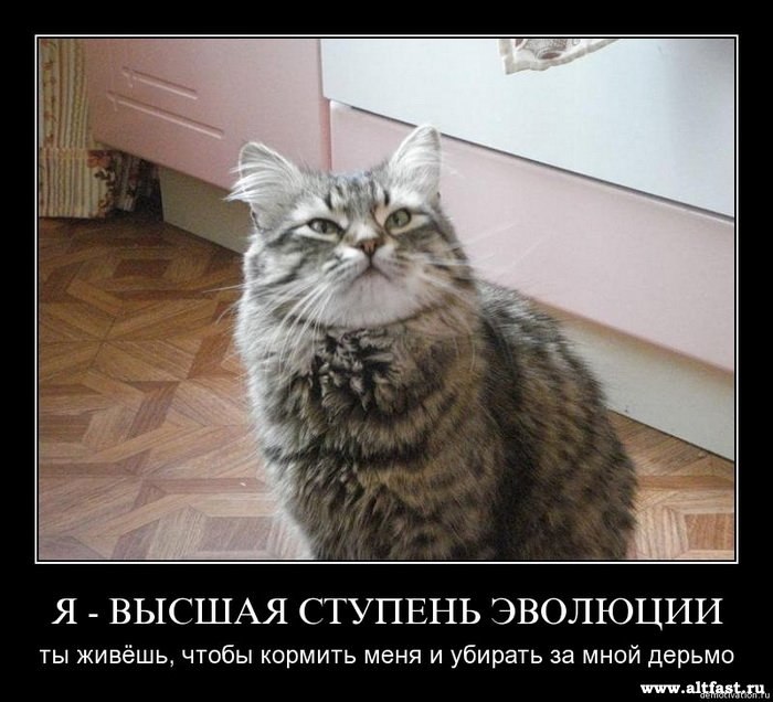 Дима Заика фотография #6