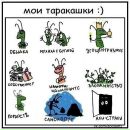 Соломія Савюк фотография #46 (источник - https://vk.com/id159854702)