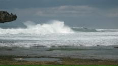 Динара Гафурова фотография #17 (источник - https://vk.com/id2706012)