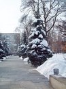 Богдан Вінецький фотография #20 (источник - https://vk.com/id165180871)