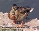 Діма Остапишин фотография #22 (источник - https://vk.com/id26627804)