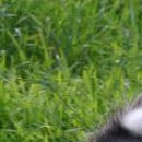 Наталя Кузів фотография #9 (источник - https://vk.com/id76628427)