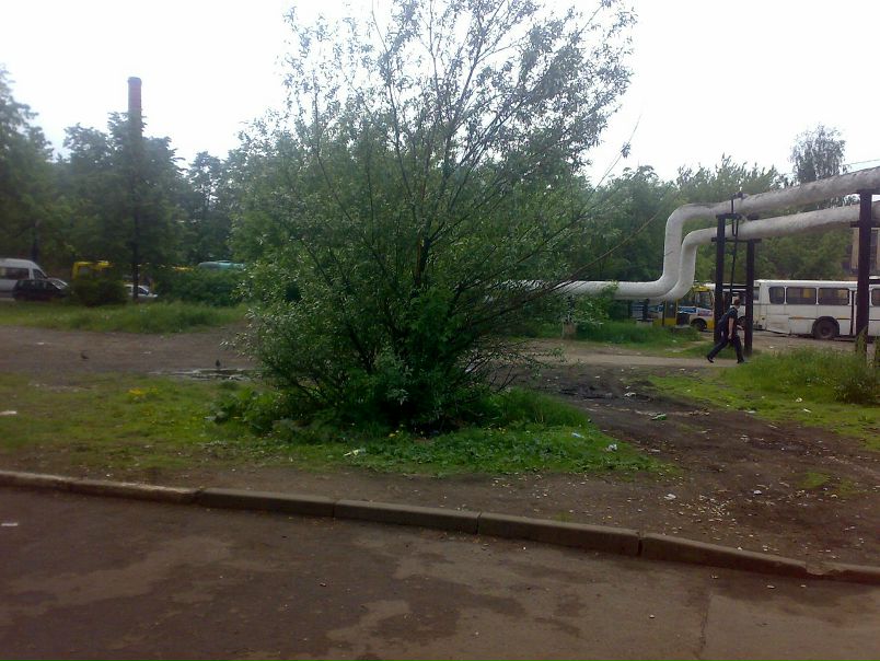 Anton Molodtsov фото №49