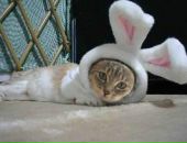 Фотография Будаевой Александры