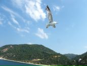 Фотография Демина Глеба