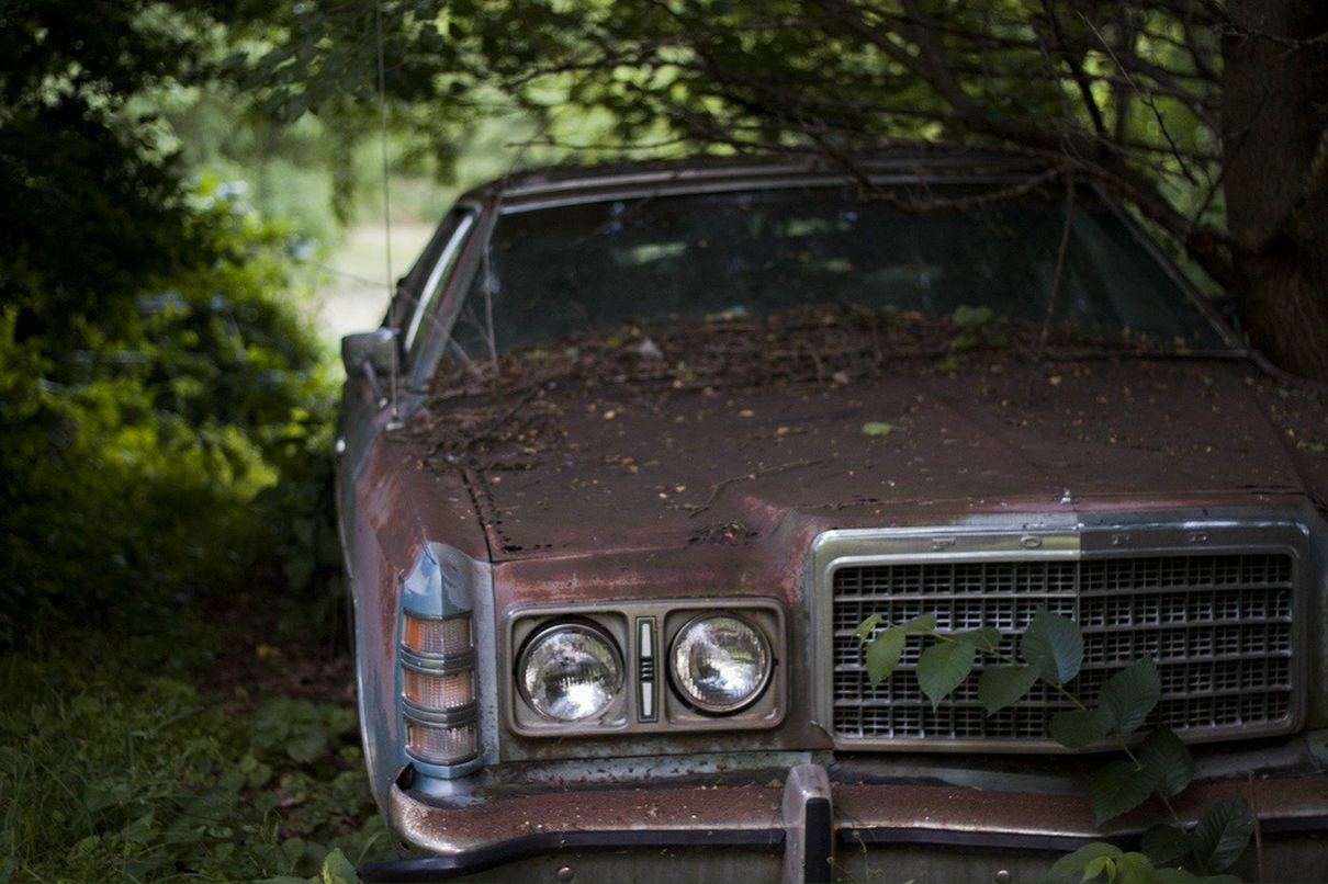 Jack Федорин фотография #40