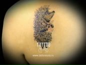 Фотография Гарнашевич Веры