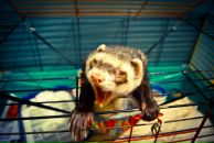 Фотография Ведерникова Ивана