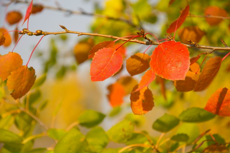 Дмитрий Клочков фотография #33