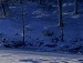 Вікторія Кусень фотография #6 (источник - https://vk.com/id151243971)