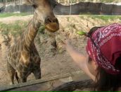 Фотография Ямбиковой Ольги