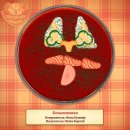 Вова Кушнір фотография #31 (источник - https://vk.com/id54247253)