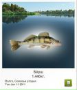 Андрій Жадан фотография #15 (источник - https://vk.com/id24173571)