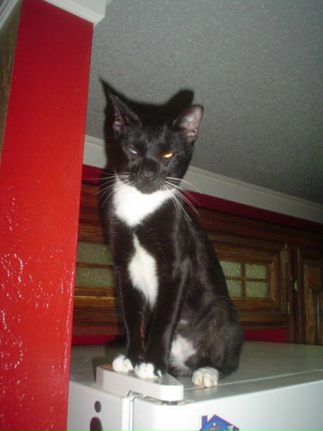 Igor Tarasov фото №45