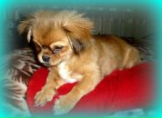 Едік Брончак фотография #8 (источник - https://vk.com/id82310322)