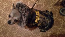 Фотография Жуковская Катерина