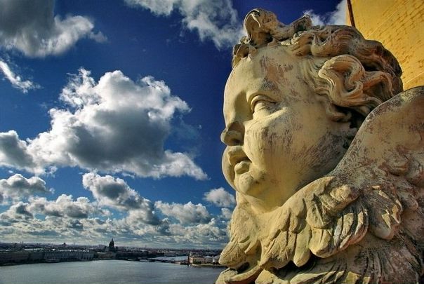  фото №26