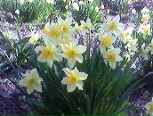 Аня Огінська фотография #29 (источник - https://vk.com/id57651452)