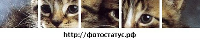 Іванка Мокра фотография #30 (источник - https://vk.com/id64092309)