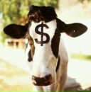 Фотография Daniels Jack