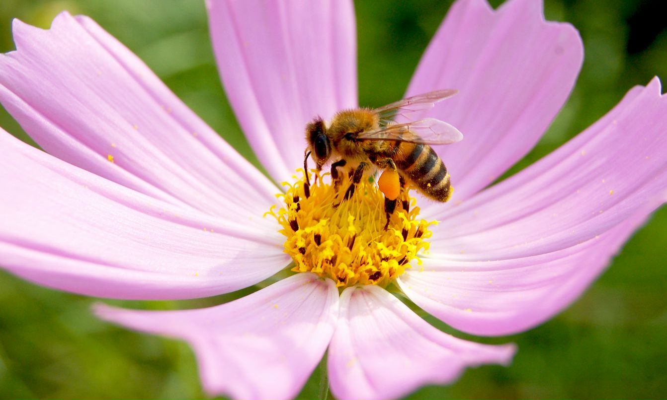 Рустем Гайсин фотография #36