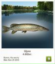 Василий Мыс фотография #25 (источник - https://vk.com/id31481818)