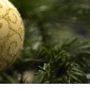 Сергій Даценко фотография #18 (источник - https://vk.com/id155483761)