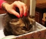 Оляна Валігура фотография #27 (источник - https://vk.com/id13097574)